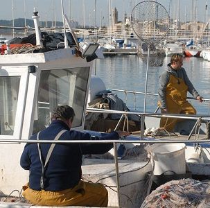 La lonja de pescadores se instalará en el Puerto de Sitges-Aiguadolç