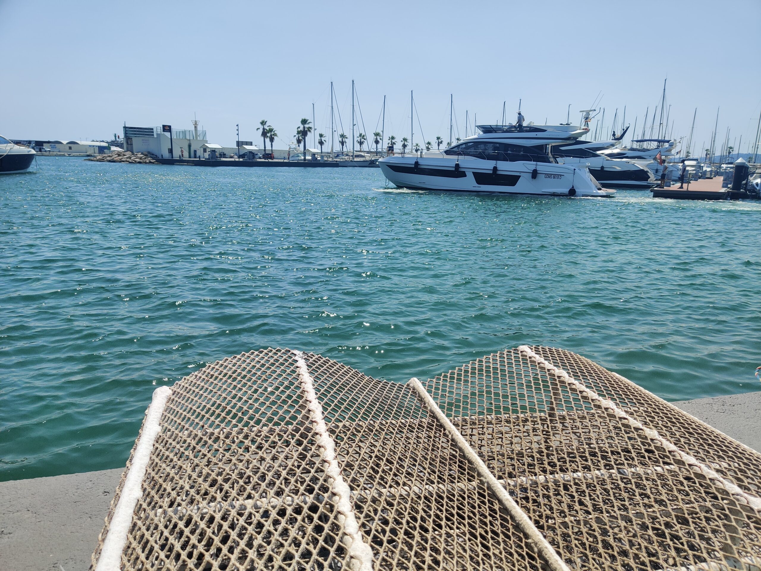 El Puerto de Sitges impulsa la regeneración de la biodiversidad marina con la instalación de estructuras Life Boosting Units (LBU)