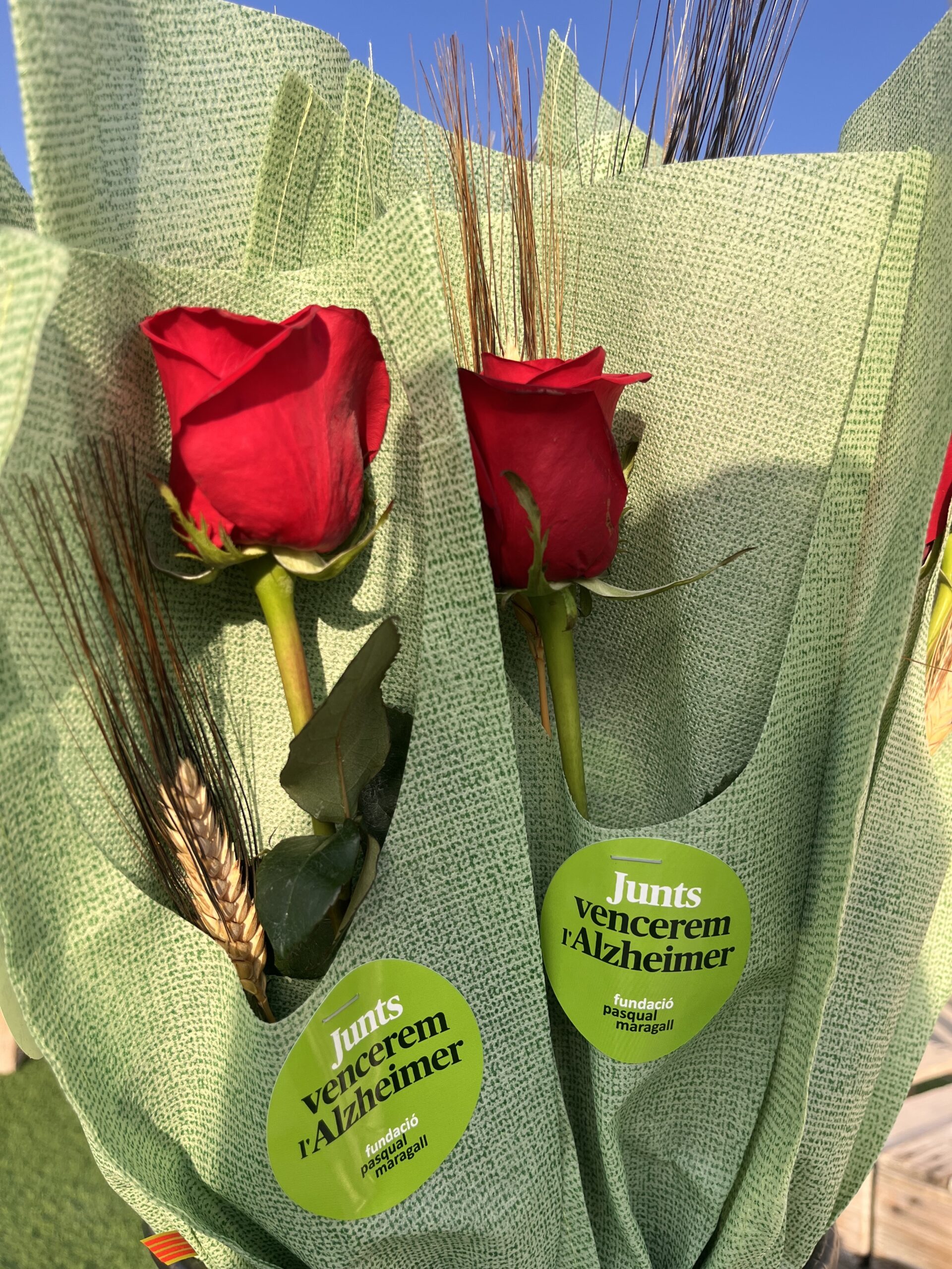 Port de Sitges con la Fundación Pasqual Maragall por Sant Jordi
